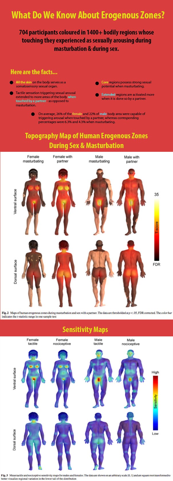 Do You Know What Your Erogenous Zones Are?